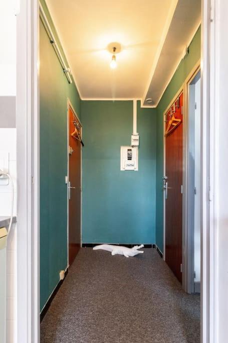 La Chambre Des Secrets / Parking / Wifi Toulouse Luaran gambar